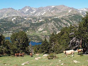 A pied, à cheval, en vtt vous découvrirez une nature généreuse.